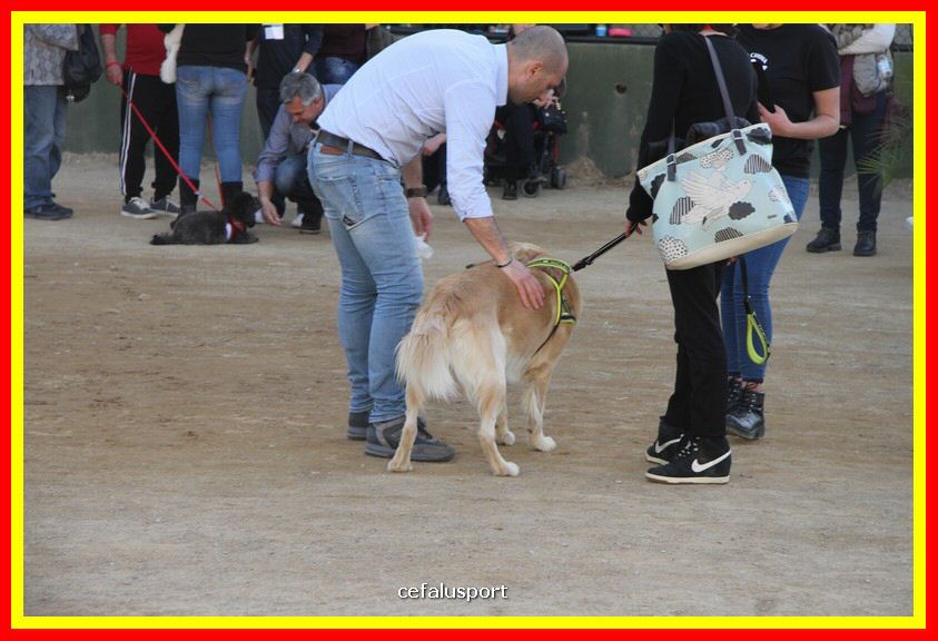 180311 mostra_canina 167.jpg